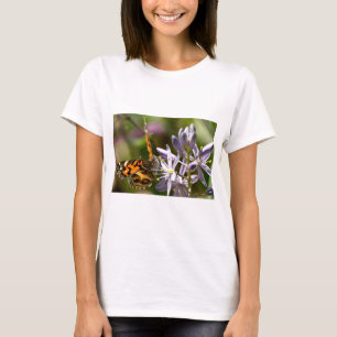 Camiseta Borboleta Laranja na Vestuário e Presentes de Jaci