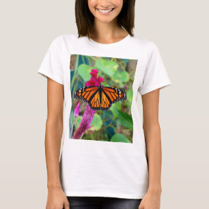 Camiseta Borboleta Monarca