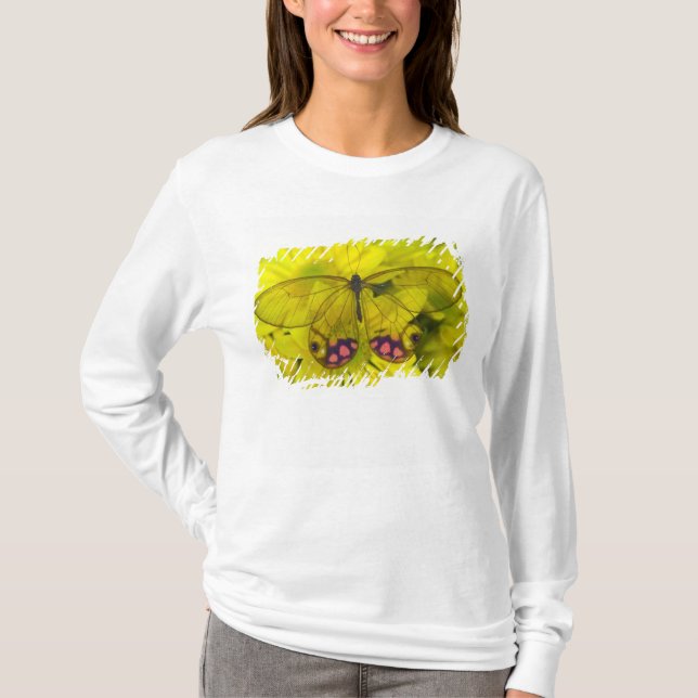 Camiseta Borboleta no Amarelo (Frente)