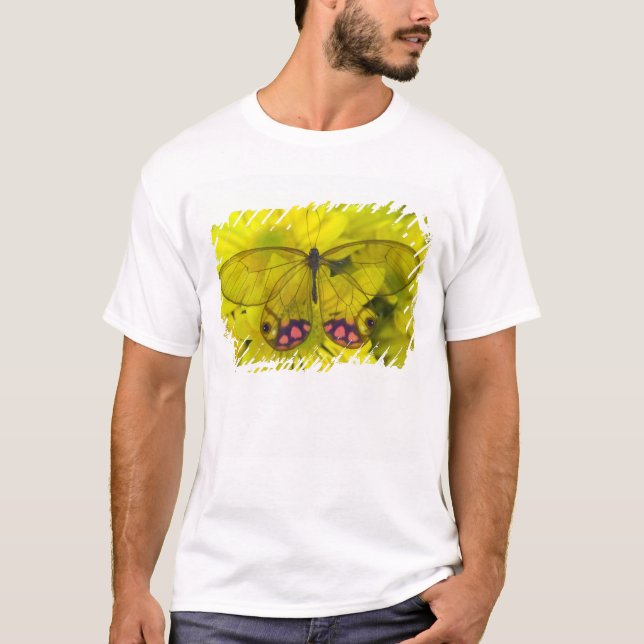 Camiseta Borboleta no Amarelo (Frente)