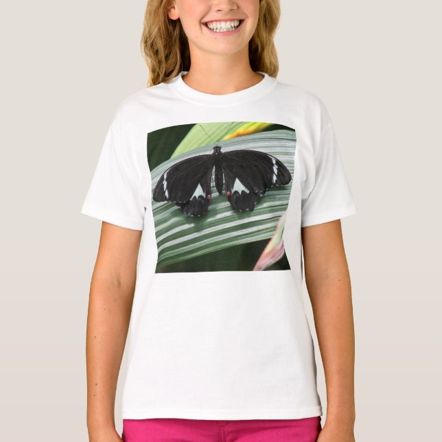 Camiseta Borboleta tropical branca e preta (Frente)