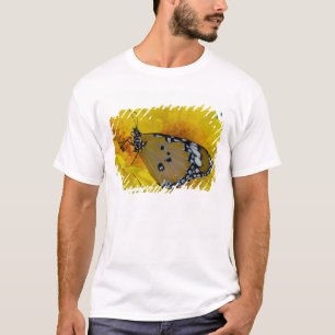 Camiseta Borboletas tropicais
