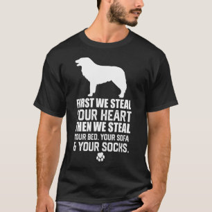 Camiseta Borda Collie Rouba Seu Coração Roubar Seu Sofá De 