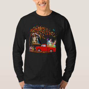 Camiseta Borda Collie Vestindo Caminhão Vermelho Coelhinho 