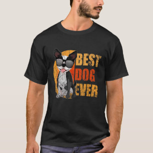 Camiseta Boston Terrier com óculos de sol vence melhor cach