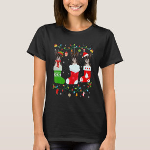 Camiseta Boston Terrier Dog Três Meias de Natal Sweet X