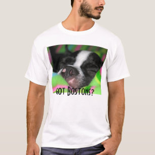 Camiseta Bostons obtido?