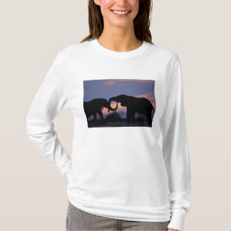 Camiseta Botswana, Parque Nacional Chobe, Elefantes