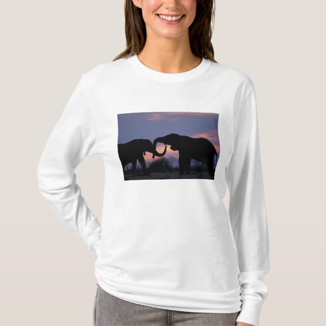 Camiseta Botswana, Parque Nacional Chobe, Elefantes (Frente)