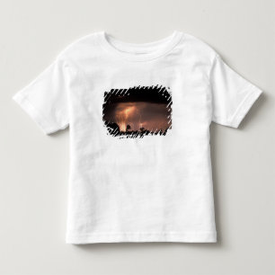 Camiseta Botswana, Reserva de Caça Moremi, Relâmpagos enche