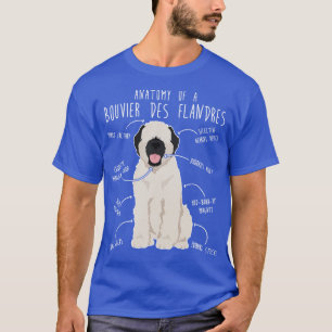 Camiseta Bouvier Des Flandres Fawn Cream Anatomia do Cão