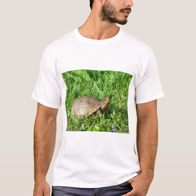 Camiseta Box Turtle (Frente)