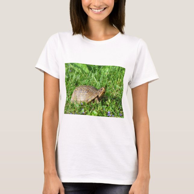 Camiseta Box Turtle (Frente)