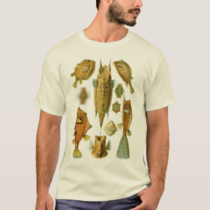 Camiseta Boxfish ou Cowfish