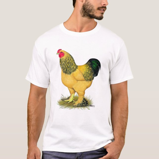Camiseta Brahma: Buff Rooster (Frente)