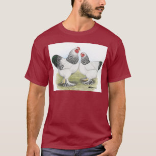 Camiseta Brahma: Luz2