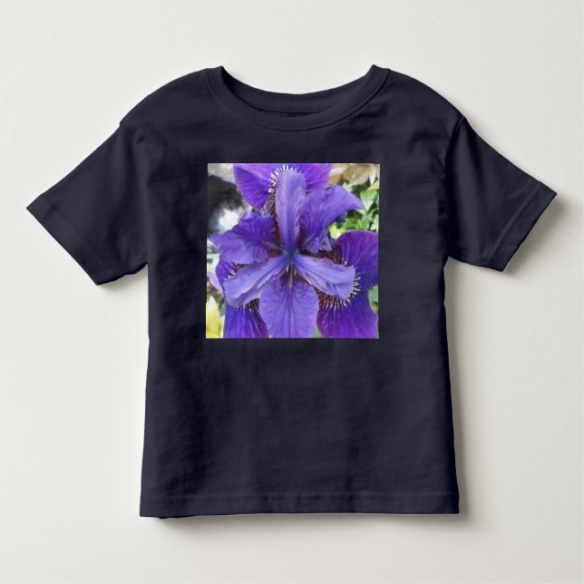 Camiseta Brandeis (Frente)