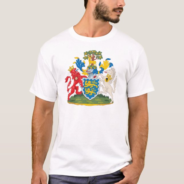 Camiseta Brasão de Berkshire (Frente)