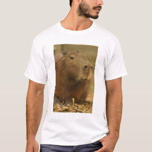 Camiseta Brasil, Pantanal, Matto Grosso. Capybara