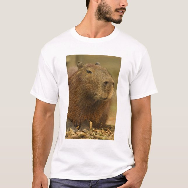 Camiseta Brasil, Pantanal, Matto Grosso. Capybara (Frente)