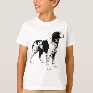 Camiseta bretany spaniel