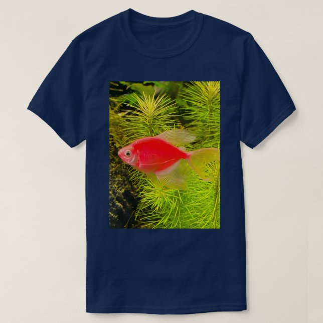 Camiseta Bright Red Goldfish (Frente do Design)