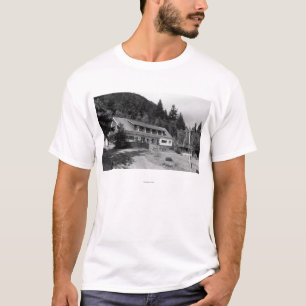 Camiseta Brinnon, opinião de WA a pensão olímpica no can