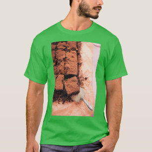 Camiseta Brownies