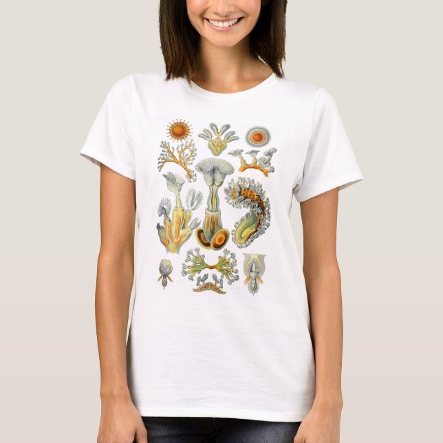 Camiseta Bryozoa (Frente)