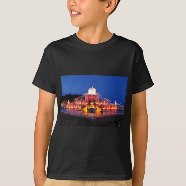 Camiseta Buckingham Fountain 02.JPG (Frente)