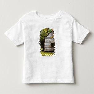 Camiseta Bud Ogle House, Excelente Enfumaçado Mountains Na