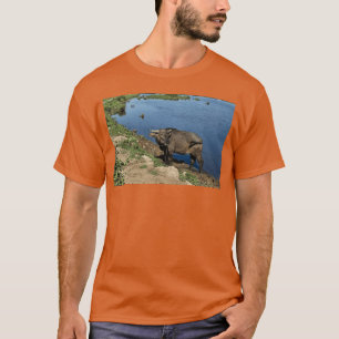 Camiseta Búfalos e Campos de Arroz Autênticos do Vietnã