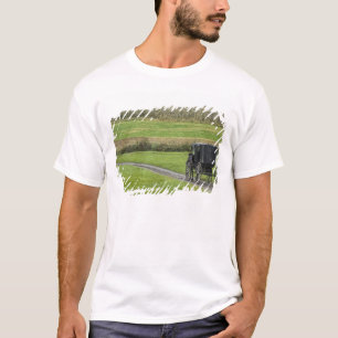 Camiseta Bugue Amish em estrada rural, Nordeste de Ohio,