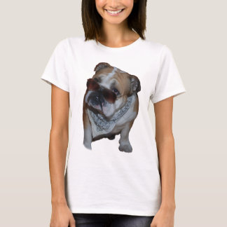Camiseta Buldogue com vidros