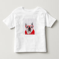 Bulldog francês com óculos e saia