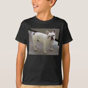 Camiseta Bulldog_Francês completo
