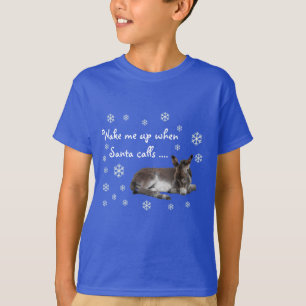Camiseta Burro de Natal Fofo Flocos de Neve