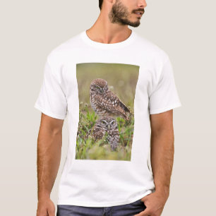 Camiseta Burrowing Owl, Athene Cunicularia, Cabo Coral,