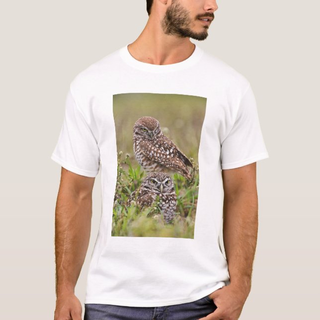 Camiseta Burrowing Owl, Athene Cunicularia, Cabo Coral, (Frente)