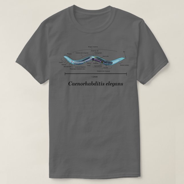 Camiseta C Elegans Anatomical Diagram  (Frente do Design)