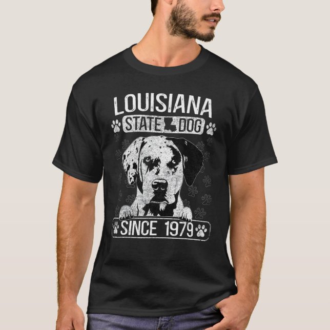 Camiseta C:\Users\Administrator\Downloads\CAT 17\Luisiana  (Frente)
