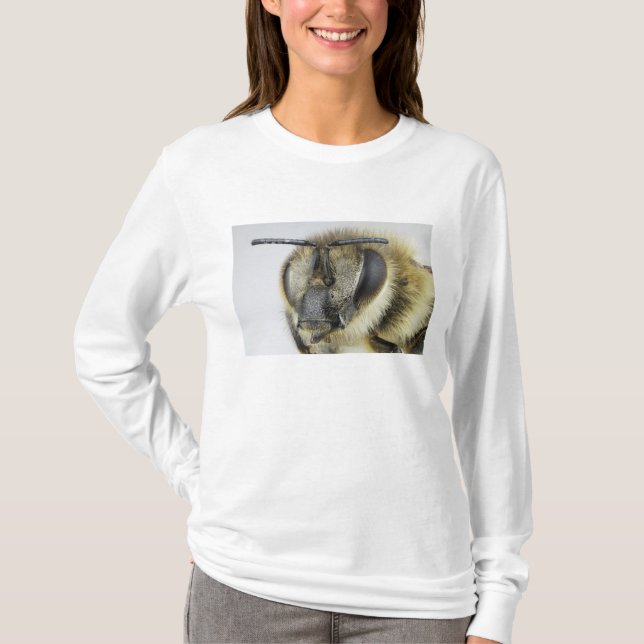 Camiseta Cabeça da abelha (Frente)