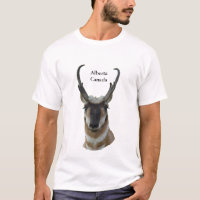 Cabeça de antílope-pronghorn macho escuro A19