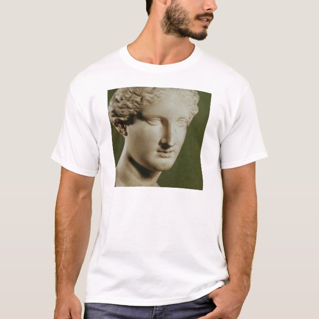 Camiseta Cabeça de Artemis (Frente)