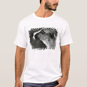 Camiseta Cabeça de Henri de Toulouse-Lautrec   de um cão