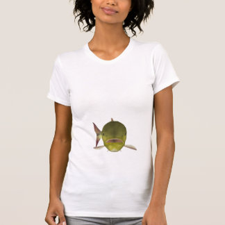 Camiseta Cabeça de Peixe Dourado Dorado