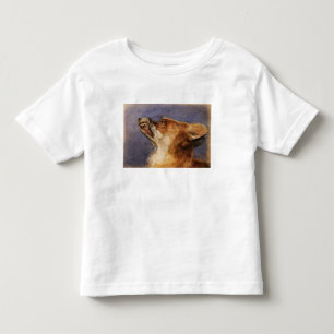 Camiseta Cabeça de um Fox