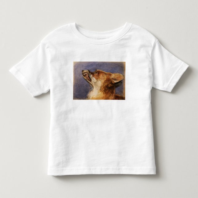 Camiseta Cabeça de um Fox (Frente)