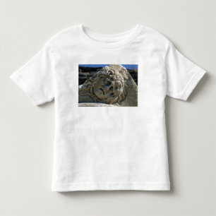 Camiseta Cabeça do Medusa