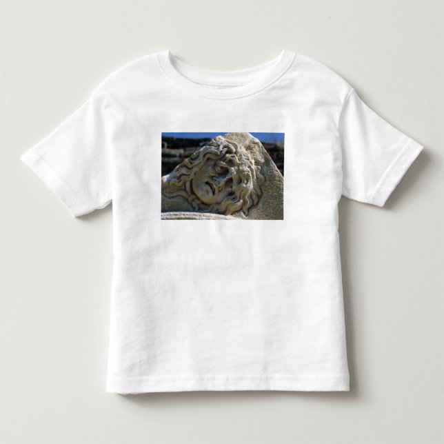 Camiseta Cabeça do Medusa (Frente)